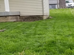 Cleanups by Tyrone Johnson for Taylor G. in Indianapolis, IN