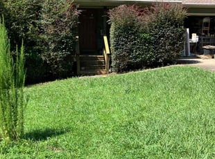 Bush Trimming by William Akins for Cass M. in Lawrenceville, GA