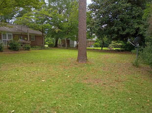 Leaf Removal by Michael Porcelli for Dixie C. in Wilmington, NC