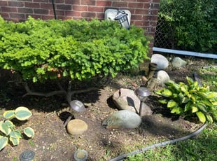 Weeding by Ricardo Binyard Jr for Shirley W. in Detroit, MI