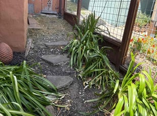 Cleanups by Maria Almendra for Alana S. in Berkeley, CA