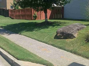Bianca L.'s Lawn Care service result