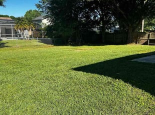 Michelle F.'s Lawn Mowing Service service result