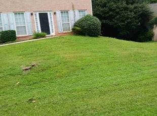 Bush Trimming by Joshua Walker for Deborah F. in Decatur, GA