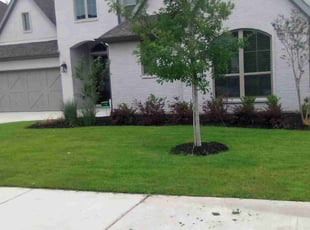 Joey G.'s Lawn Service service result