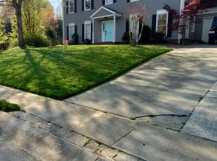 Leaf Removal by Michael Cherry for Jack M. in Charlotte, NC