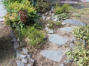 Weeding by Angel Arredondo for Raymond E. in Auburn, WA