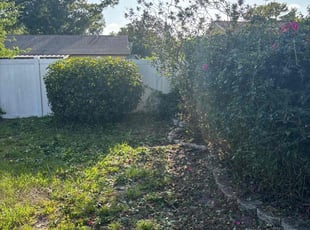 Bush Trimming by Terrael Mason for Mary l. in Dunedin, FL