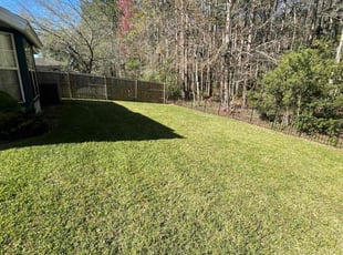Edward F.'s Yard Cutting service result