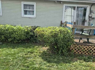 Bush Trimming by Kyle Smith for Barbara B. in Middletown, PA