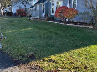 Leaf Removal by Richard Red Cloud-Owen for Betsy T. in Albany, NY