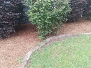 Weeding by Enrique Juarez for Alisha B. in Woodstock, GA