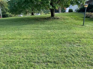 John A.'s Lawn Service service result