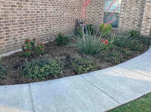 Weeding by Emma Perales for Karla D. in Fort Worth, TX