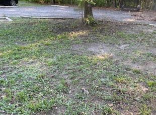 Leaf Removal by Chris Thomas for Ian L. in Chesterfield, VA