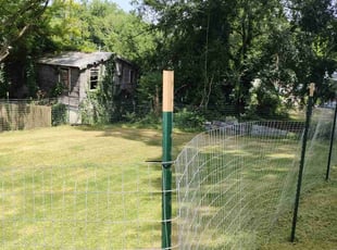 James M.'s Lawn Mowing service result