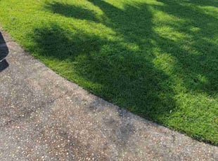 Richard R.'s Lawn Service service result