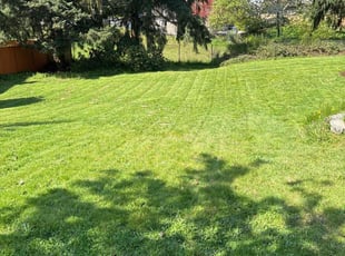 Karen S.'s Yard Cutting service result