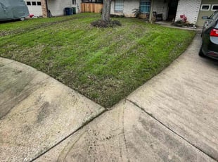 Alan S.'s Lawn Maintenance service result