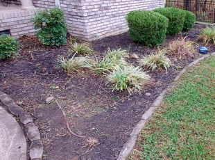 Landscaping by Isaiah Cuthbertson for Rebekah R. in Salisbury, NC