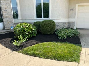 Mulching by Leroy Green II for Kailash C. in Dublin, OH