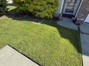 Weeding by DJ Walker for Steven P. in Virginia Beach, VA
