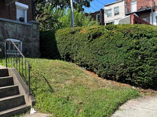 Bush Trimming by Dimas Lopez for Vernon G. in Baltimore, MD