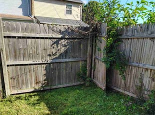 Leaf Removal by James Mclean for Richard P. in Richmond, VA