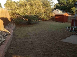 Cleanups by Sean Youell for Krisinda M. in Colorado Springs, CO