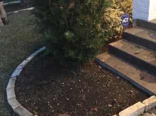 Leaf Removal by Artemio Reyes for Chad L. in Dallas, TX