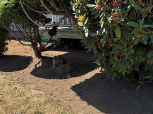 Rebecca R.'s Flower Bed Weeding service result