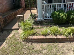 Weeding by James Franks for Tina B. in Olive Branch, MS