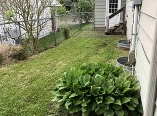 Leaf Removal by Nathan Hoffman for Betty J. in Lansing, MI