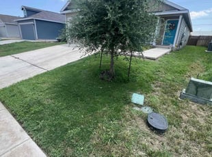 Bush Trimming by Angel Olivares for Amber M. in San Antonio, TX