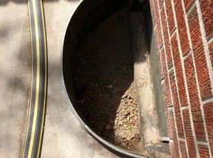 Leaf Removal by Trey Weiler for Mark G. in Denver, CO