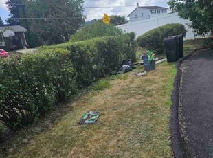 Bush Trimming by Daniel Peruso for Daniel S. in Olyphant, PA