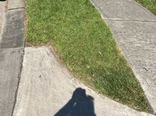 Bush Trimming by Domingo Rosas for Tarrah G. in Humble, TX
