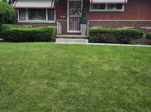 Bush Trimming by Thomas Abney for Jerome I. in Akron, OH
