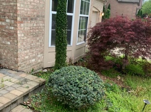 Bush Trimming by Jared Wright for Michael M. in Beckett Ridge, OH