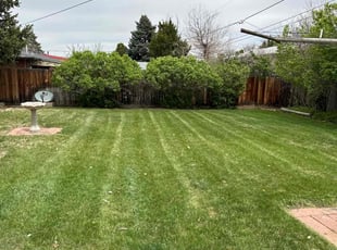 Leaf Removal by Joshua Hines for Vickie H. in Aurora, CO