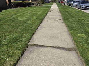 ibrahim a.'s Lawn Service service result