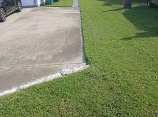 Katrina P.'s Lawn Maintenance service result