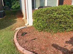Weeding by Phillip StPreuve for Noel G. in Lawrenceville, GA