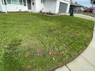 Sue D.'s Lawn Mowing service result