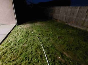 Cleanups by Carlos Diaz for Rafiola B. in Fresno, CA