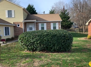 Bush Trimming by Darryl Blanchard for Phyllis L. in Waldorf, MD