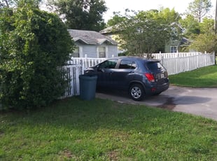 Bush Trimming by Terrance Moran for Megan W. in Deltona, FL