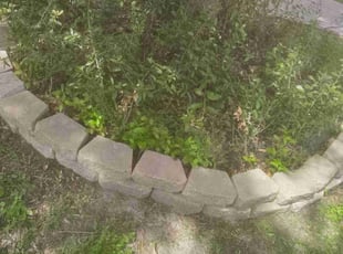 Weeding by Juan Rubio for Jacob S. in Channelview, TX