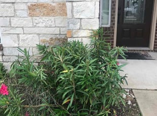 Bush Trimming by Juan Uribe for Marcus C. in Glenn Heights, TX