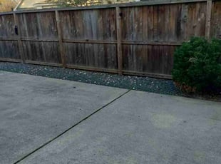 Leaf Removal by Jesus Fortanel for Stephen C. in Spring, TX